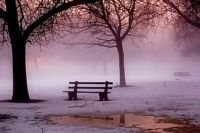 pic for Bench In Misty Fog 